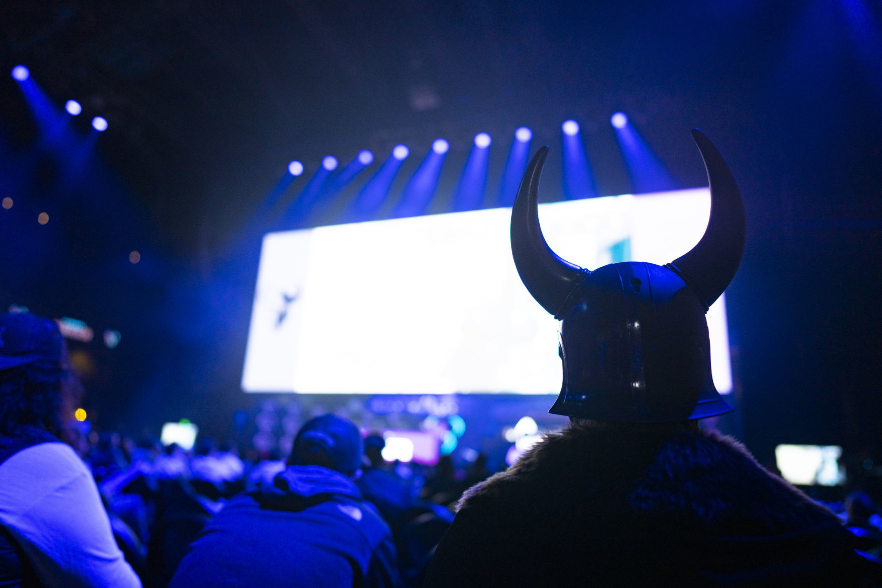 The silhouette.jpg